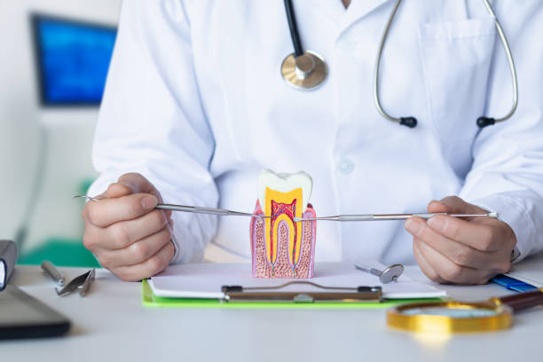 Best After-Hours Emergency Dentist in South Holland, IL